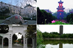 中国风景最美的10所大学
