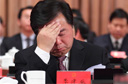 �й����뷴���½׶�