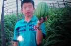 男生被罚站跳楼自杀