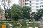 两岁男童小区水池溺亡
