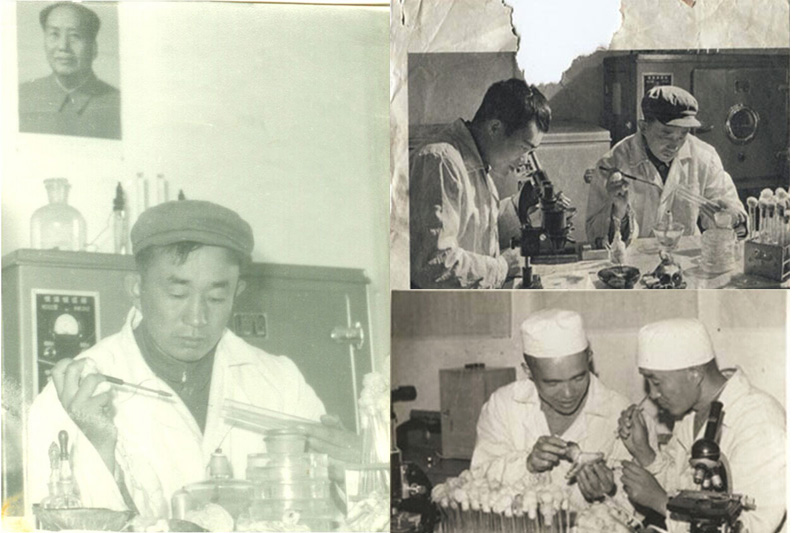 1961年能乃扎布南開大學畢業回到內蒙古,當時的內蒙古昆虫學教學研究幾乎還是空白,因此,他擔負起了動物學和昆虫學的教學科研任務。(能乃扎布在錫林郭勒的實驗室做實驗。)