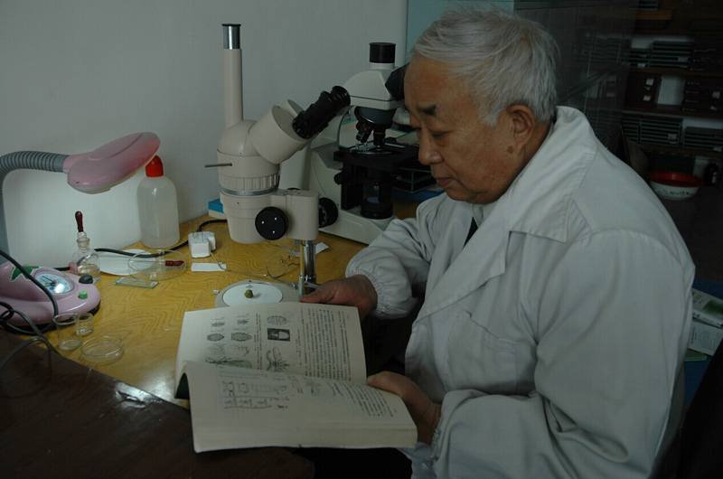 75歲的能乃扎布長期在顯微鏡下研究昆虫標本,原本有些老花眼的他看東西更加吃力,查閱資料他必須將書本拿到一個適當的距離才能勉強看得清上面的文字,但他依然沒有放棄研究。(能乃扎布在顯微鏡下工作)