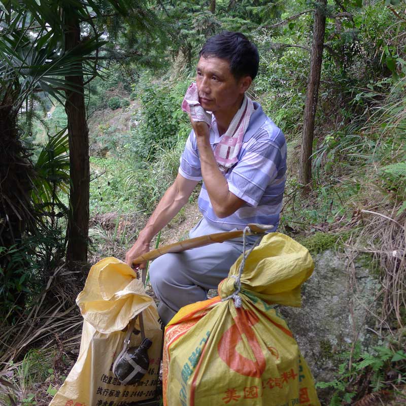 低嶺是祁門縣交通最不發達的自然村,村民祖祖輩輩過著靠山吃山的日子。鄉裡多次選派進低嶺教學點的教師,都因無法忍受惡劣環境、艱苦條件而出山。1983年9月,眼看著低嶺教學點面臨關閉、孩子面臨失學,葉興旺,主動請纓到低嶺,當起了民辦教師,月工資23元。從此他再也沒有離開低嶺。(葉興旺挑教材回學校途中在路邊休息)