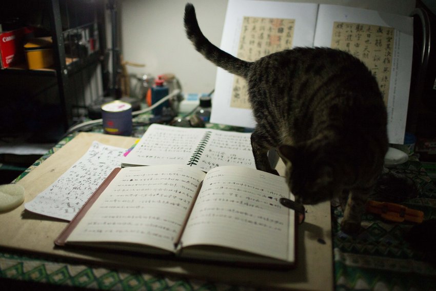 ���Ӻ�һ�㶼����ë����д����ʼǡ�