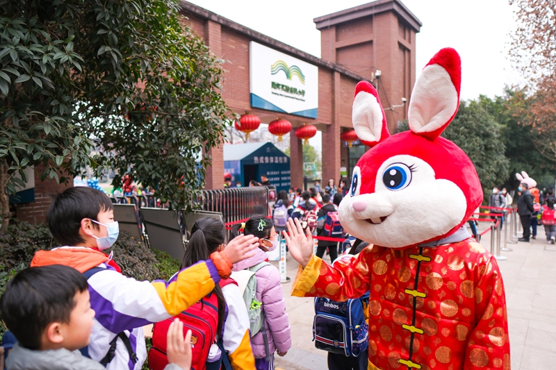 2月6日,重慶南岸區南坪實驗金科小學,學校在門口准備了孩子們喜歡的兔子玩偶,迎接開學。郭旭攝