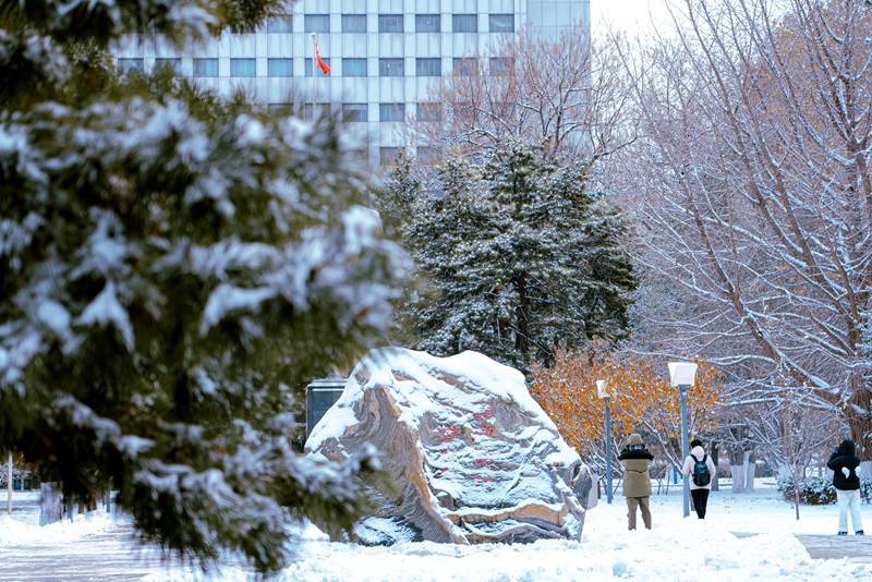 北京郵電大學：郵苑初雪。張憶晨攝