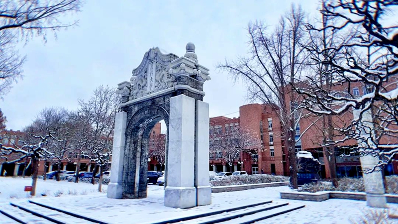 中國農業大學：初雪奇妙夜，一起共“白頭”。校方供圖