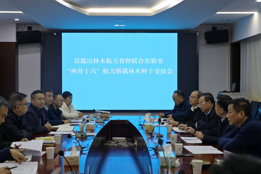 “神舟十六”航天搭載林木種子交接會現場