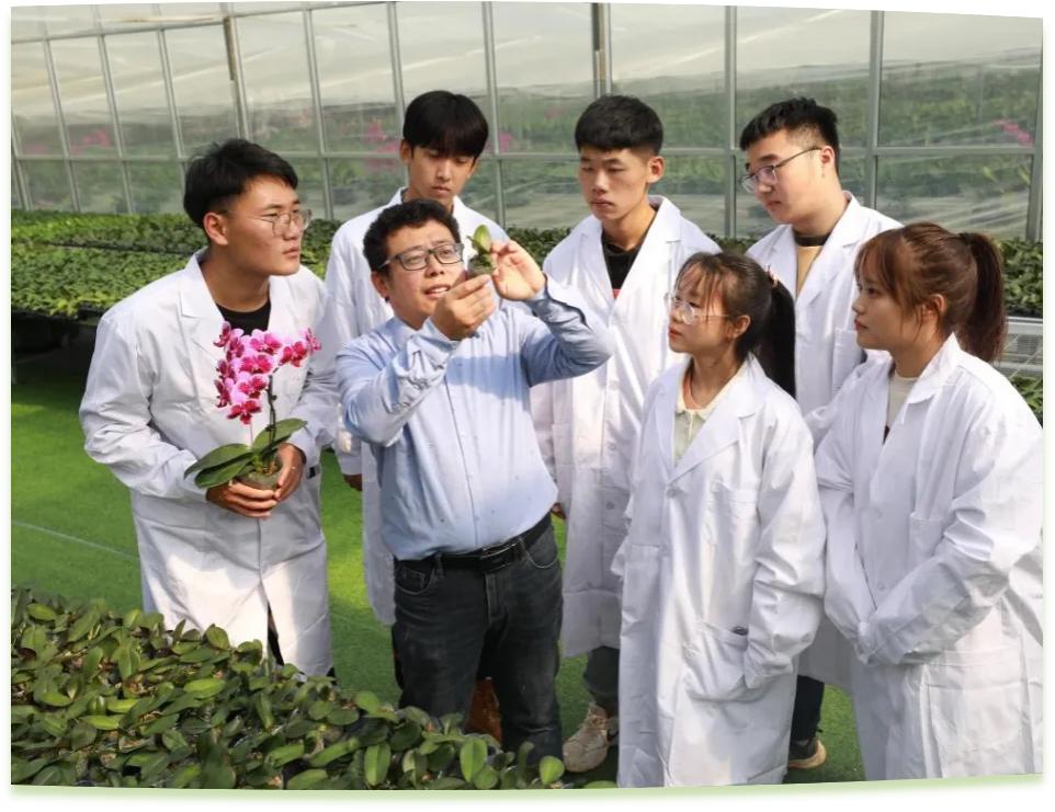 濰坊工程職業學院科技創新團隊為花卉行業從業者作蝴蝶蘭雜交選育技術指導。學校供圖
