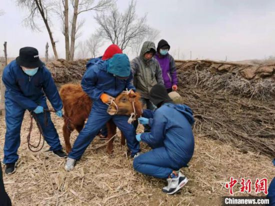 圖為李光鵬團隊正在基層和當地民眾一起開展科研活動。 受訪者供圖。