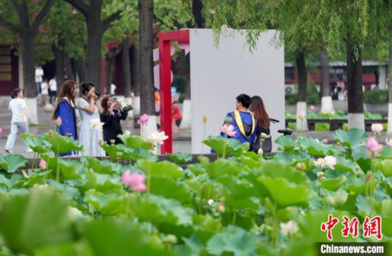 6月19日,时值一年毕业季,四川大学望江校区荷花池里的荷花盛开,成为了毕业生们的打卡圣地,吸引了众多毕业生拍照留念。图为毕业生在荷花池边拍照留念。中新社记者 安源 摄
