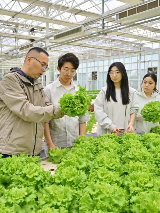 北京農學院智能溫室裡的勞動實踐課