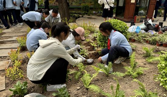北京農學院的師生們以專業智慧助力北京市深入推進“美麗北京”建設,在數十個“微花園”建設中,師生們將宏觀的“花園城市”藍圖轉化為家門口、校園中“推窗見綠、出門見園”的微觀幸福,展現農林高校的專業力量與使命擔當。
